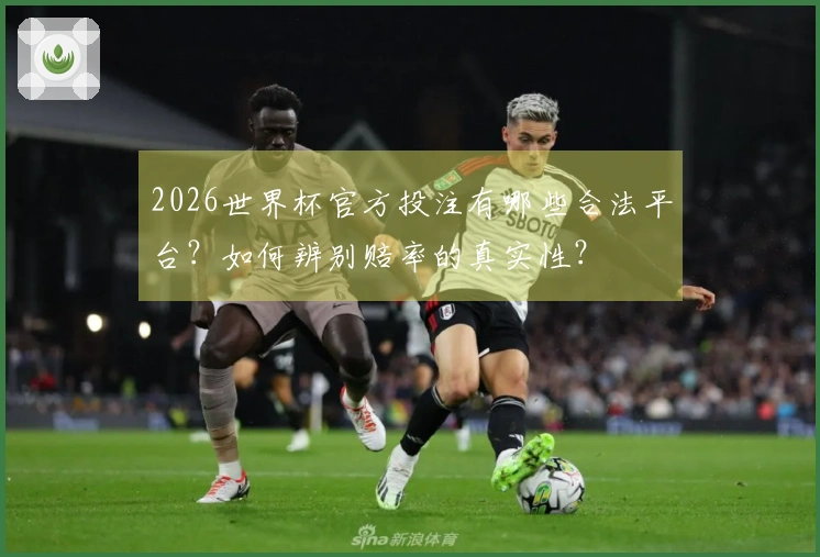 2026世界杯官方投注有哪些合法平台？如何辨别赔率的真实性？