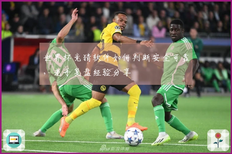 世界杯竞猜软件如何判断安全可靠，老手复盘经验分享
