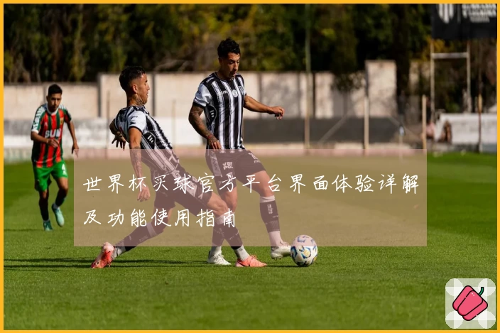 世界杯买球官方平台界面体验详解及功能使用指南