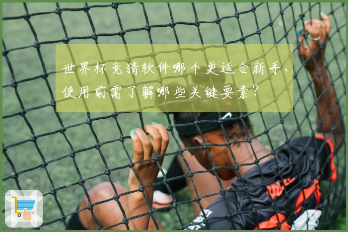 世界杯竞猜软件哪个更适合新手，使用前需了解哪些关键要素？