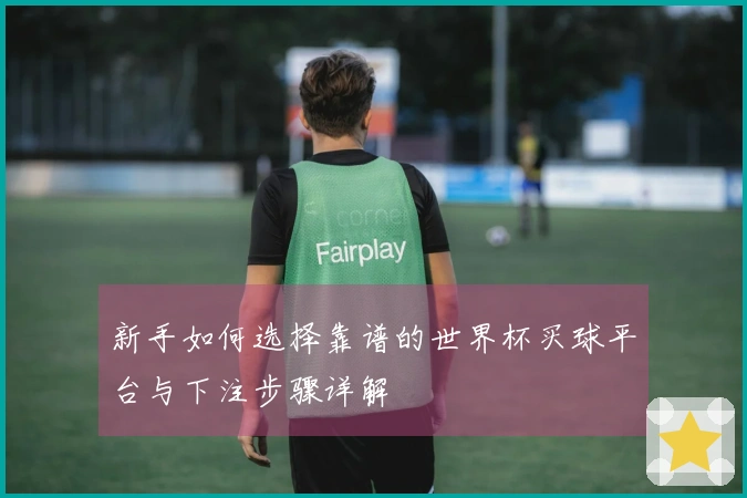 新手如何选择靠谱的世界杯买球平台与下注步骤详解