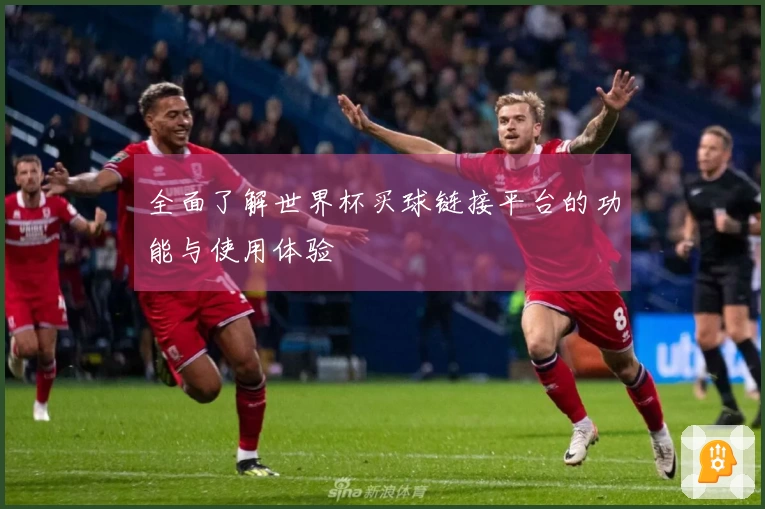 全面了解世界杯买球链接平台的功能与使用体验