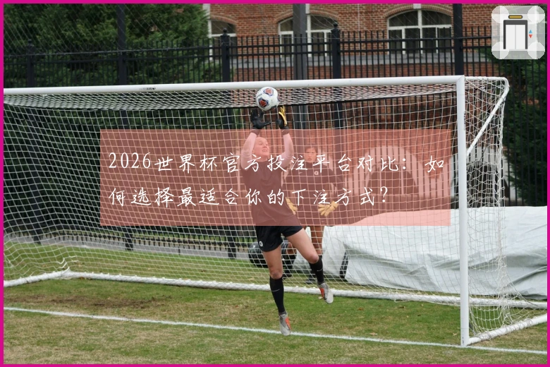 2026世界杯官方投注平台对比：如何选择最适合你的下注方式？