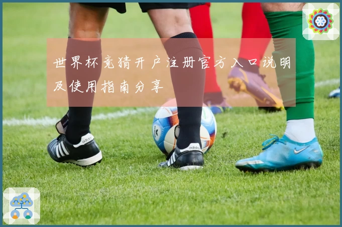 世界杯竞猜开户注册官方入口说明及使用指南分享