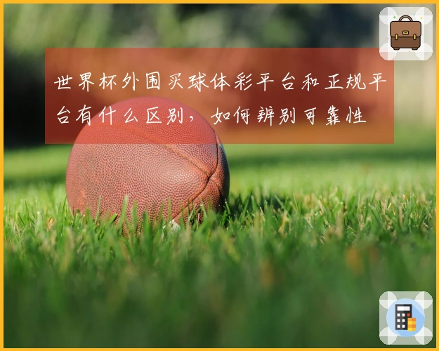 世界杯外围买球体彩平台和正规平台有什么区别，如何辨别可靠性