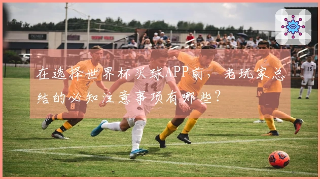 在选择世界杯买球APP前，老玩家总结的必知注意事项有哪些？