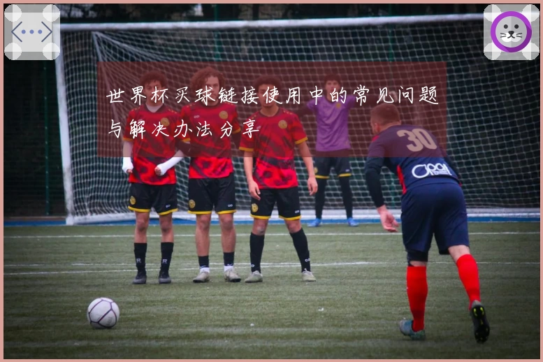 世界杯买球链接使用中的常见问题与解决办法分享
