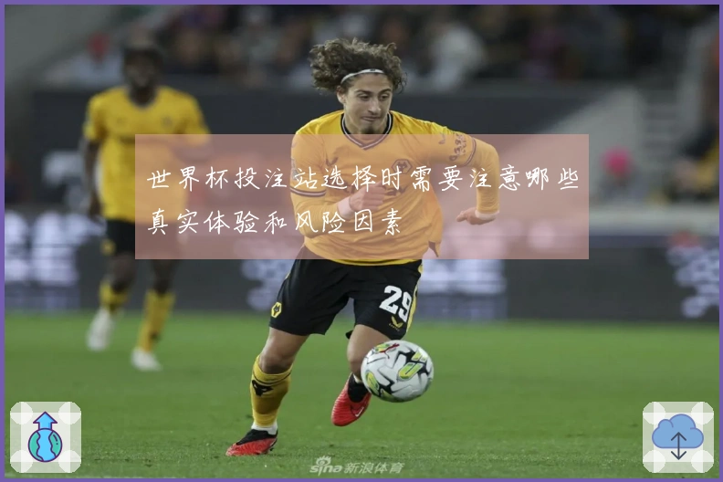 世界杯投注站选择时需要注意哪些真实体验和风险因素