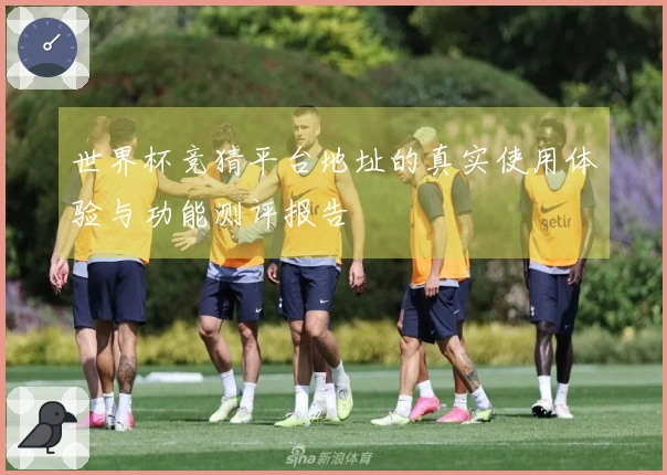 世界杯竞猜平台地址的真实使用体验与功能测评报告