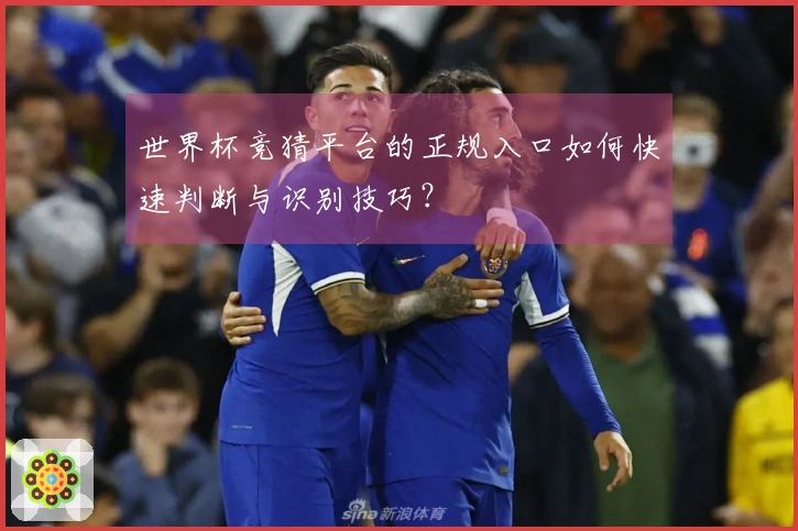 世界杯竞猜平台的正规入口如何快速判断与识别技巧？