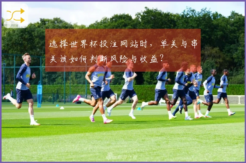 选择世界杯投注网站时，单关与串关该如何判断风险与收益？