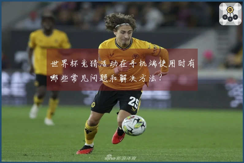 世界杯竞猜活动在手机端使用时有哪些常见问题和解决方法？