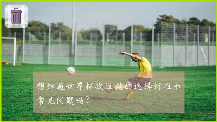 想知道世界杯投注站的选择标准和常见问题吗?