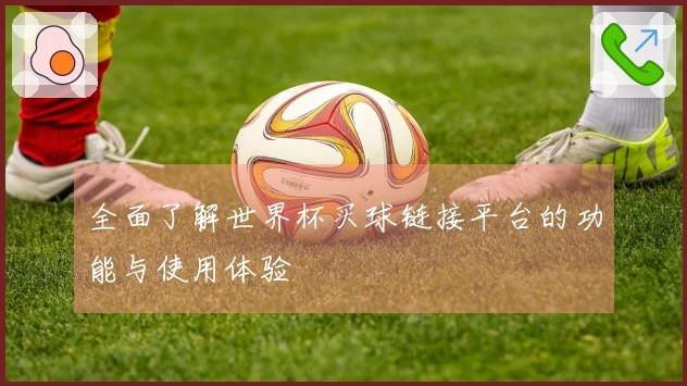 全面了解世界杯买球链接平台的功能与使用体验