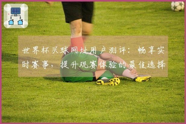 世界杯买球网址用户测评：畅享实时赛事，提升观赛体验的最佳选择