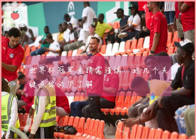世界杯冠军竞猜需谨慎，这几个关键点你必须了解