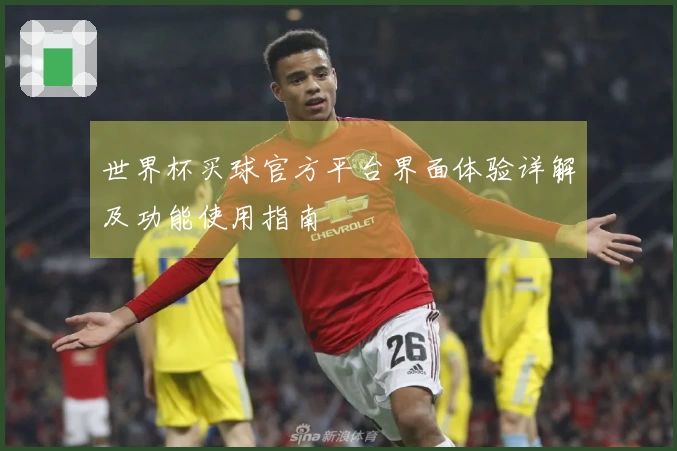 世界杯买球官方平台界面体验详解及功能使用指南