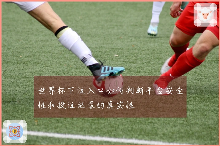 世界杯下注入口如何判断平台安全性和投注记录的真实性