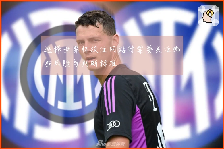 选择世界杯投注网站时需要关注哪些风险与判断标准