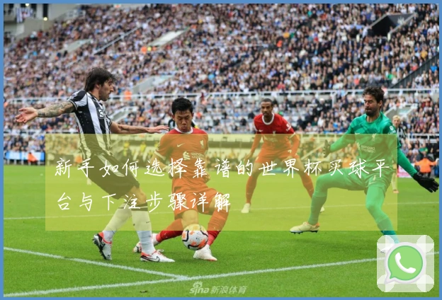 新手如何选择靠谱的世界杯买球平台与下注步骤详解