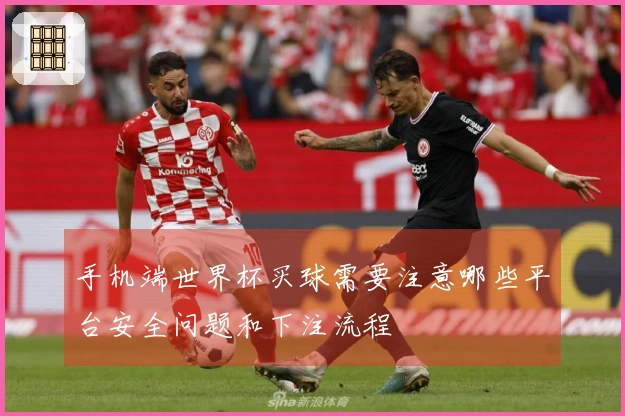 手机端世界杯买球需要注意哪些平台安全问题和下注流程