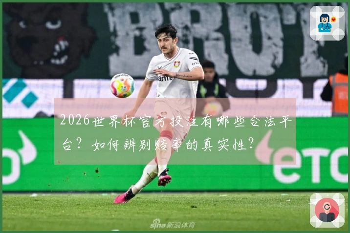 2026世界杯官方投注有哪些合法平台？如何辨别赔率的真实性？