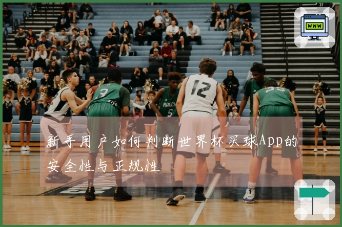新手用户如何判断世界杯买球App的安全性与正规性