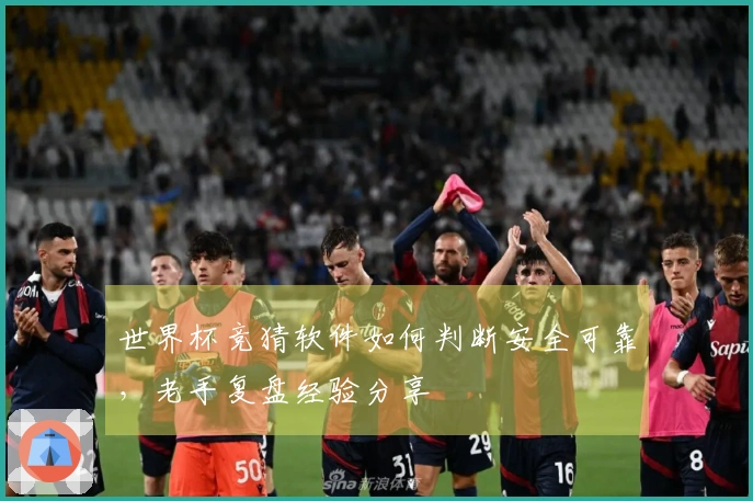 世界杯竞猜软件如何判断安全可靠，老手复盘经验分享