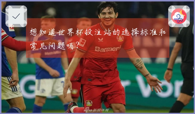 想知道世界杯投注站的选择标准和常见问题吗？