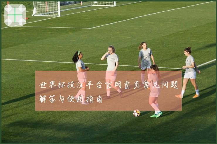 世界杯投注平台官网首页常见问题解答与使用指南